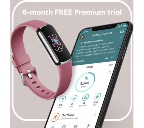 GradeB - FITBIT Luxe Fitness Tracker - Platinum & Orchid | Universal
