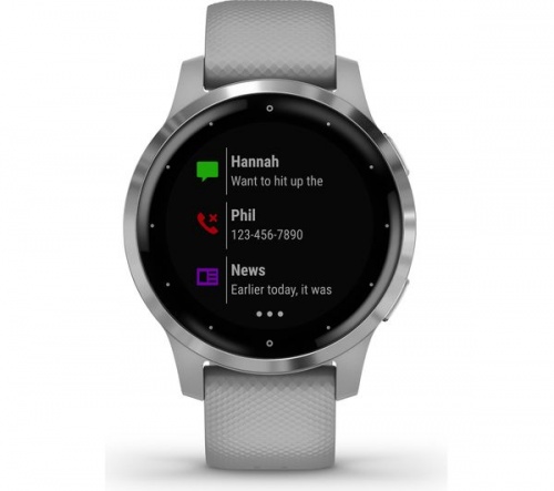 GARMIN Vivoactive 4S Small- Powder Grey + Silver