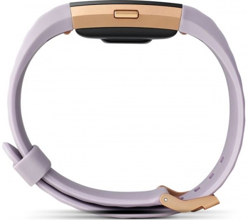 Grade2B - FITBIT Charge 2 Small | Lavender + Rose Gold