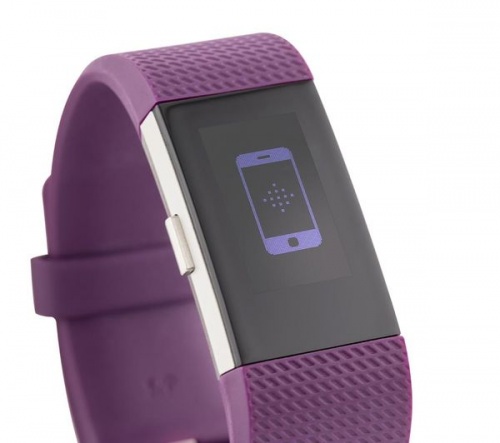 GradeB - FITBIT Charge 2 Small - Plum