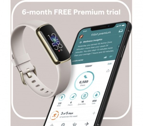 Grade2B - FITBIT Luxe Universal Fitness Tracker | Lunar White & Soft Gold